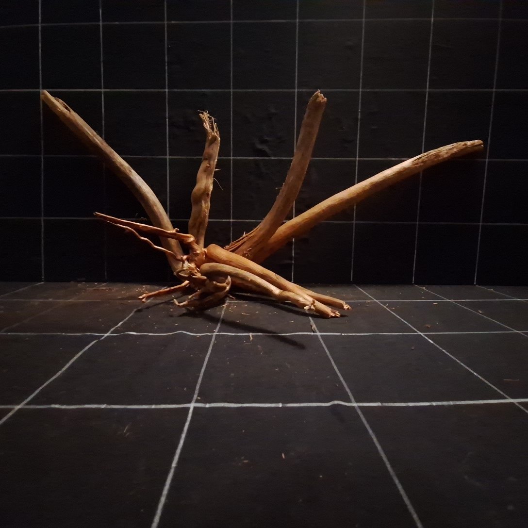Tuskwood Akvarierot Set om 4 delar WYSIWYG Äkta Bogwood Unik 51 cm S4212623 – Image 4