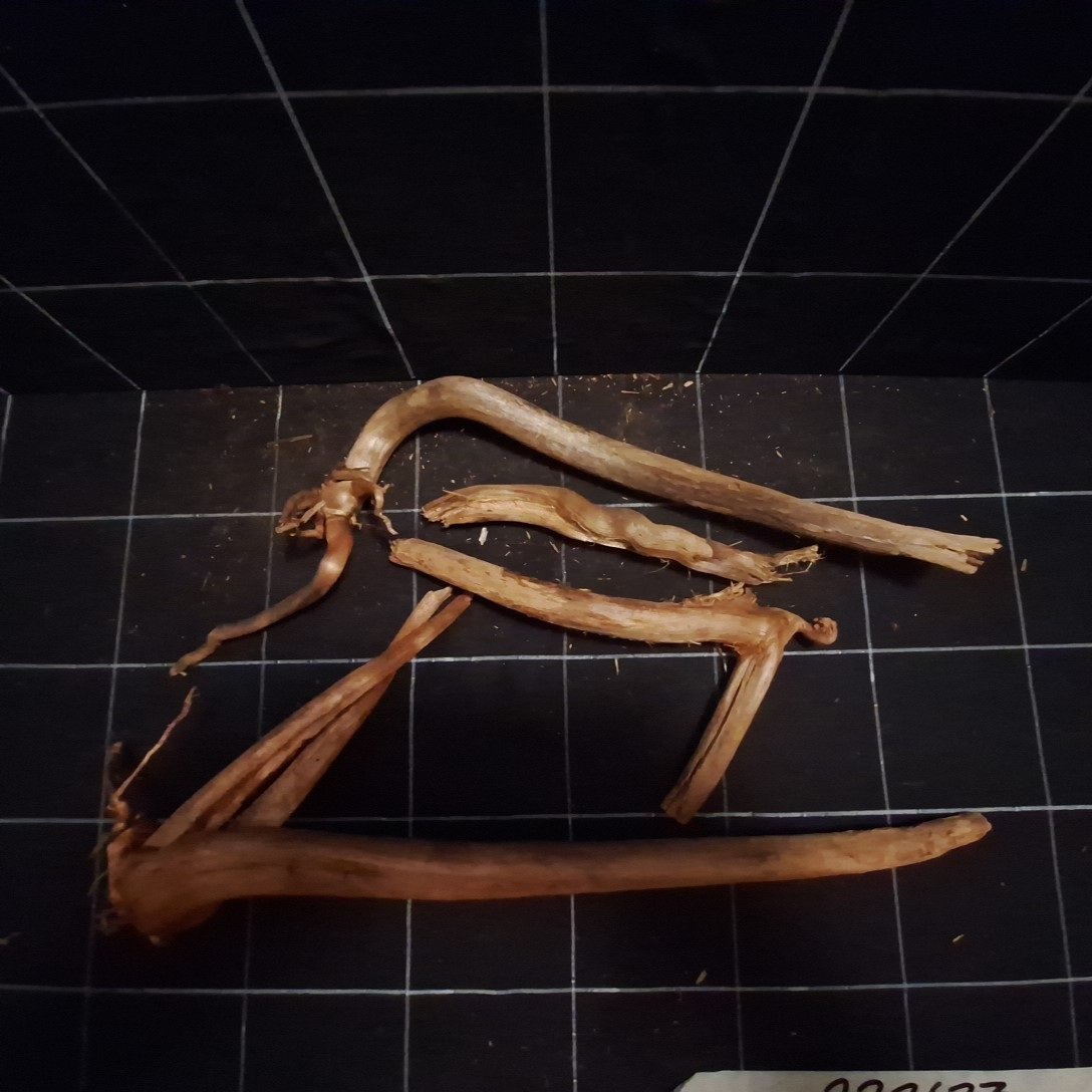 Tuskwood Akvarierot Set om 4 delar WYSIWYG Äkta Bogwood Unik 51 cm S4212623 – Image 6