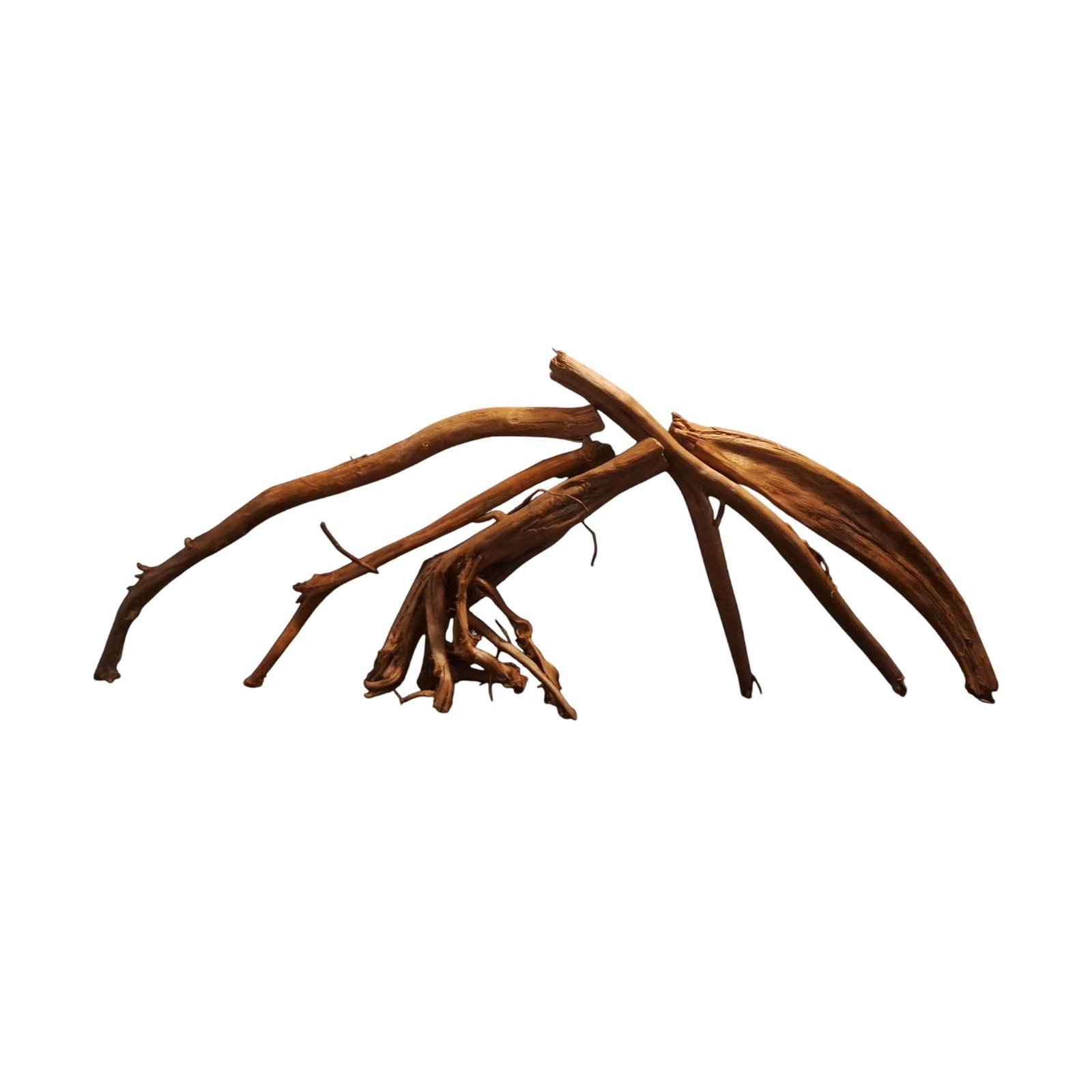 Tuskwood Akvarierot Set om 5 delar WYSIWYG Äkta Bogwood Unik 90 cm S5132623 – Bild 7
