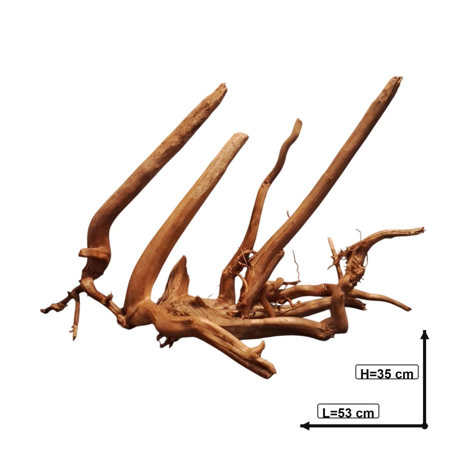 Tuskwood Akvarierot Set om 6 delar WYSIWYG Äkta Bogwood Unik 53 cm S6042623 – Bild 3