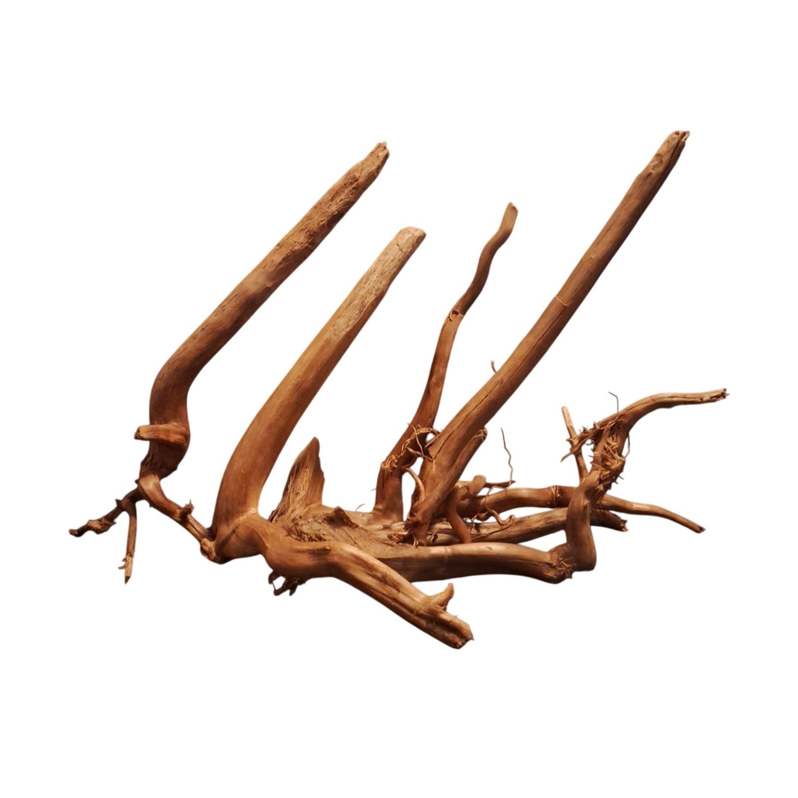 Tuskwood Akvarierot Set om 6 delar WYSIWYG Äkta Bogwood Unik 53 cm S6042623 – Bild 7