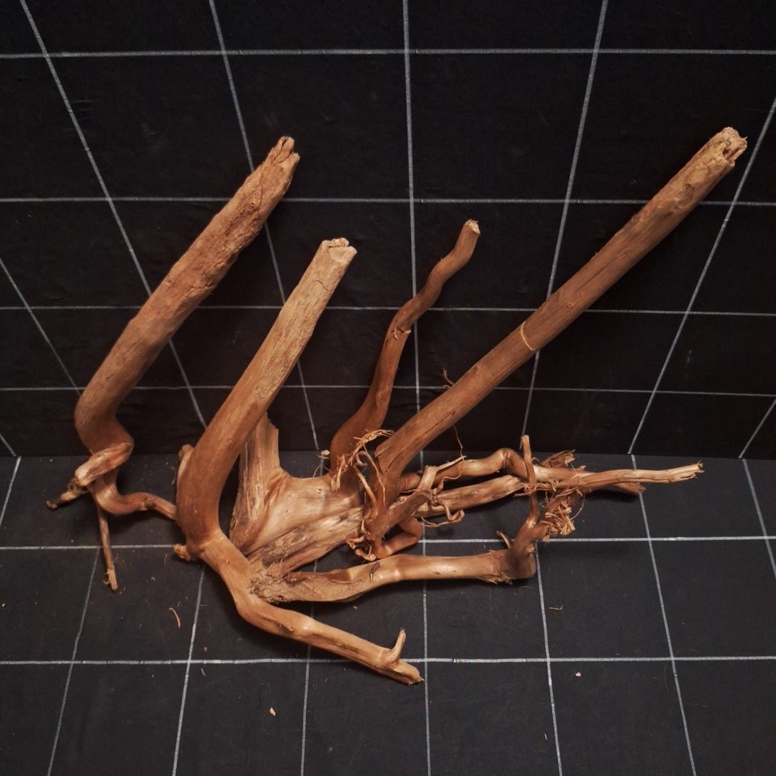 Tuskwood Akvarierot Set om 6 delar WYSIWYG Äkta Bogwood Unik 53 cm S6042623 – Bild 5