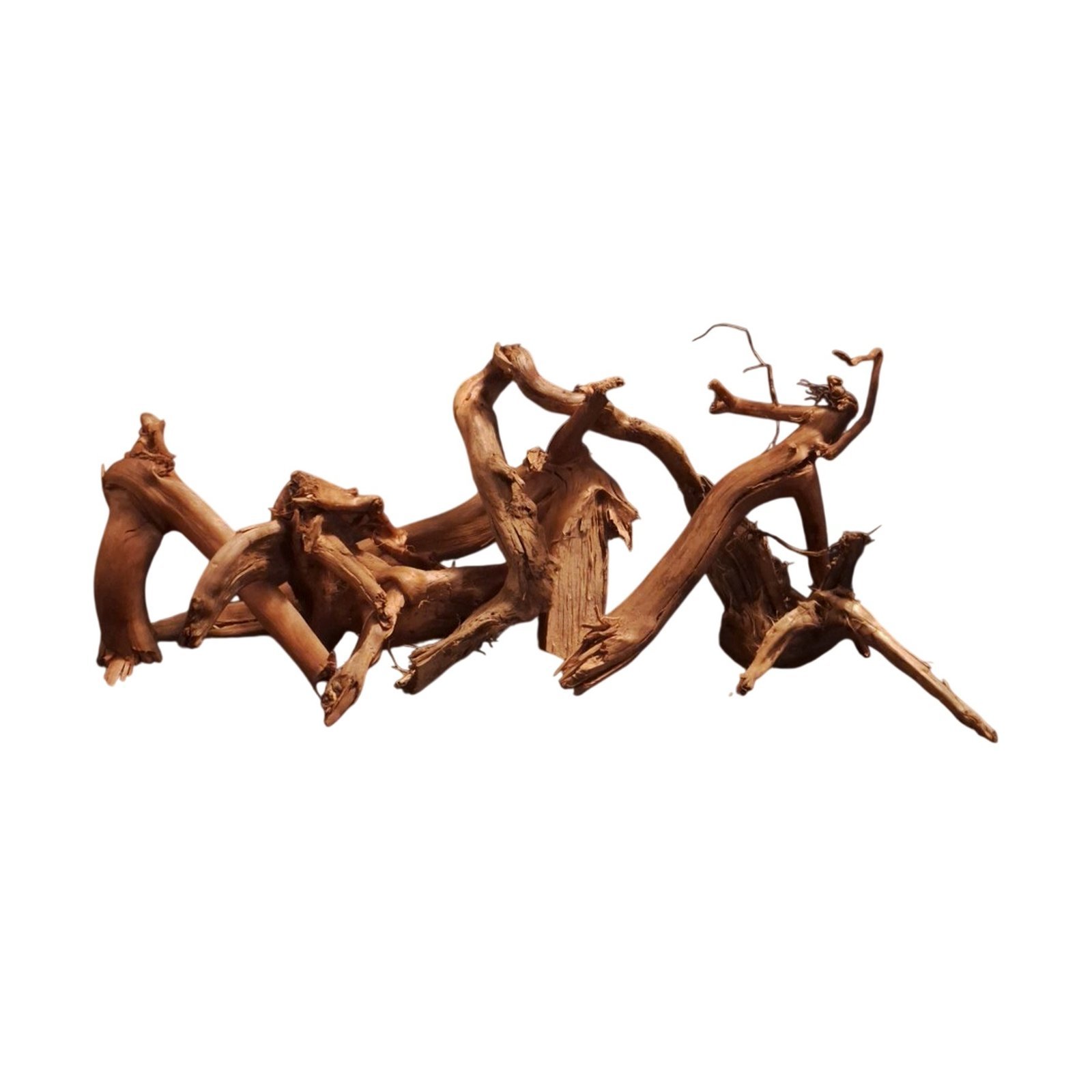 Tuskwood Akvarierot Set om 6 delar WYSIWYG Äkta Bogwood Unik 54 cm S6072623 - Billede 7