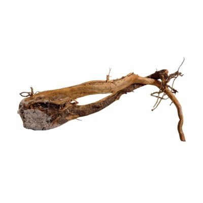 Tuskwood Akvarierot WYSIWYG Äkta Bogwood Unik 40 cm 105