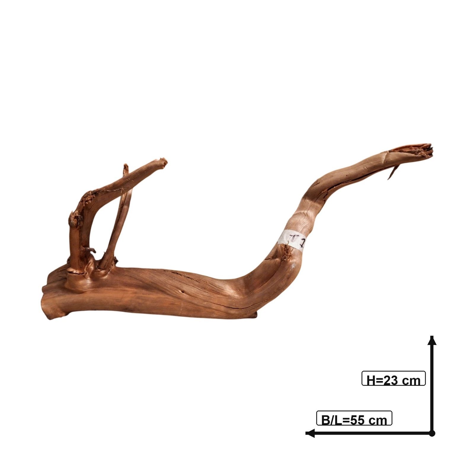 Tuskwood Akvarierot WYSIWYG Äkta Bogwood Unik 55 cm NrT1 - Image 3