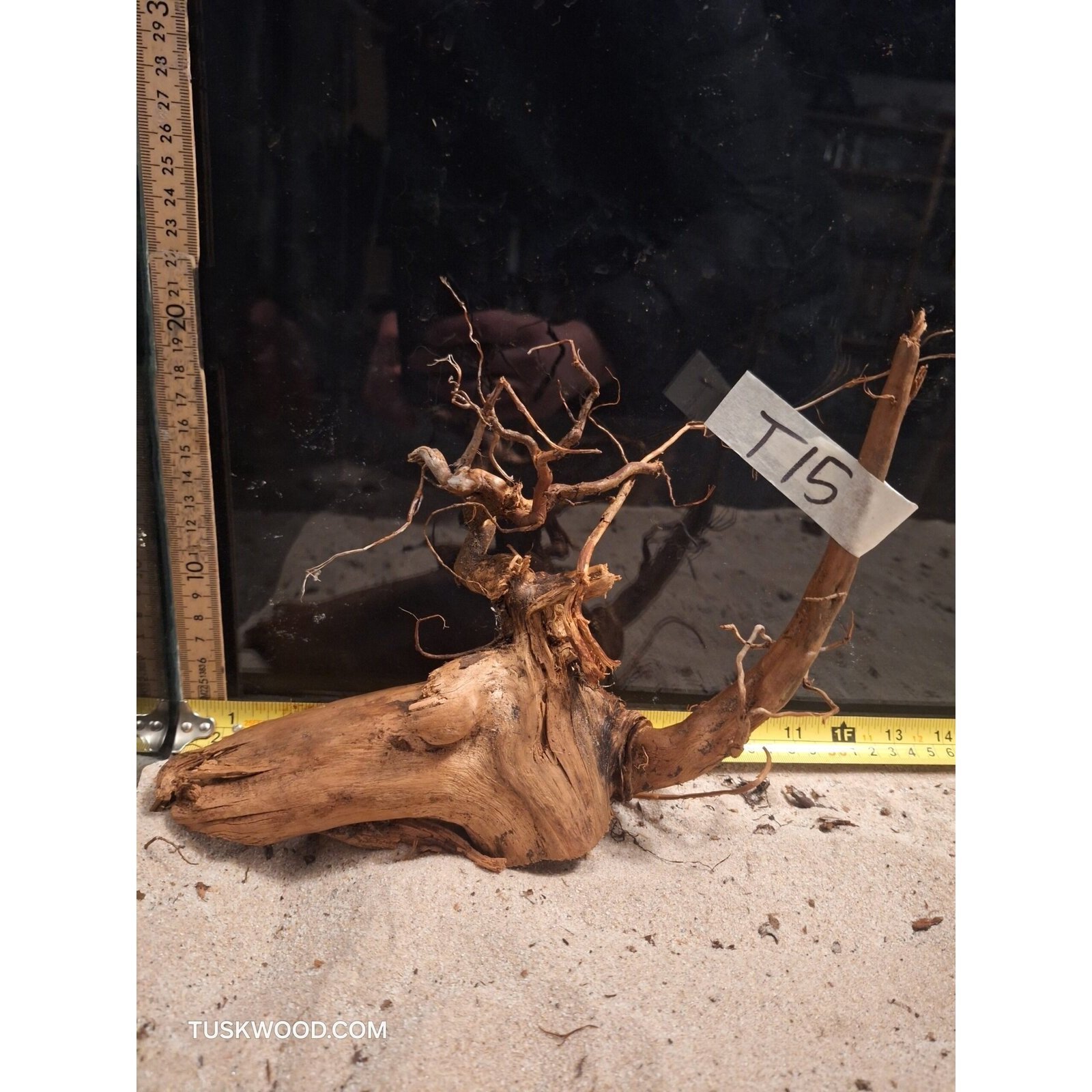 Tuskwood Akvarierot WYSIWYG Äkta Bogwood Unik 36 cm NrT15 - Kuva 7
