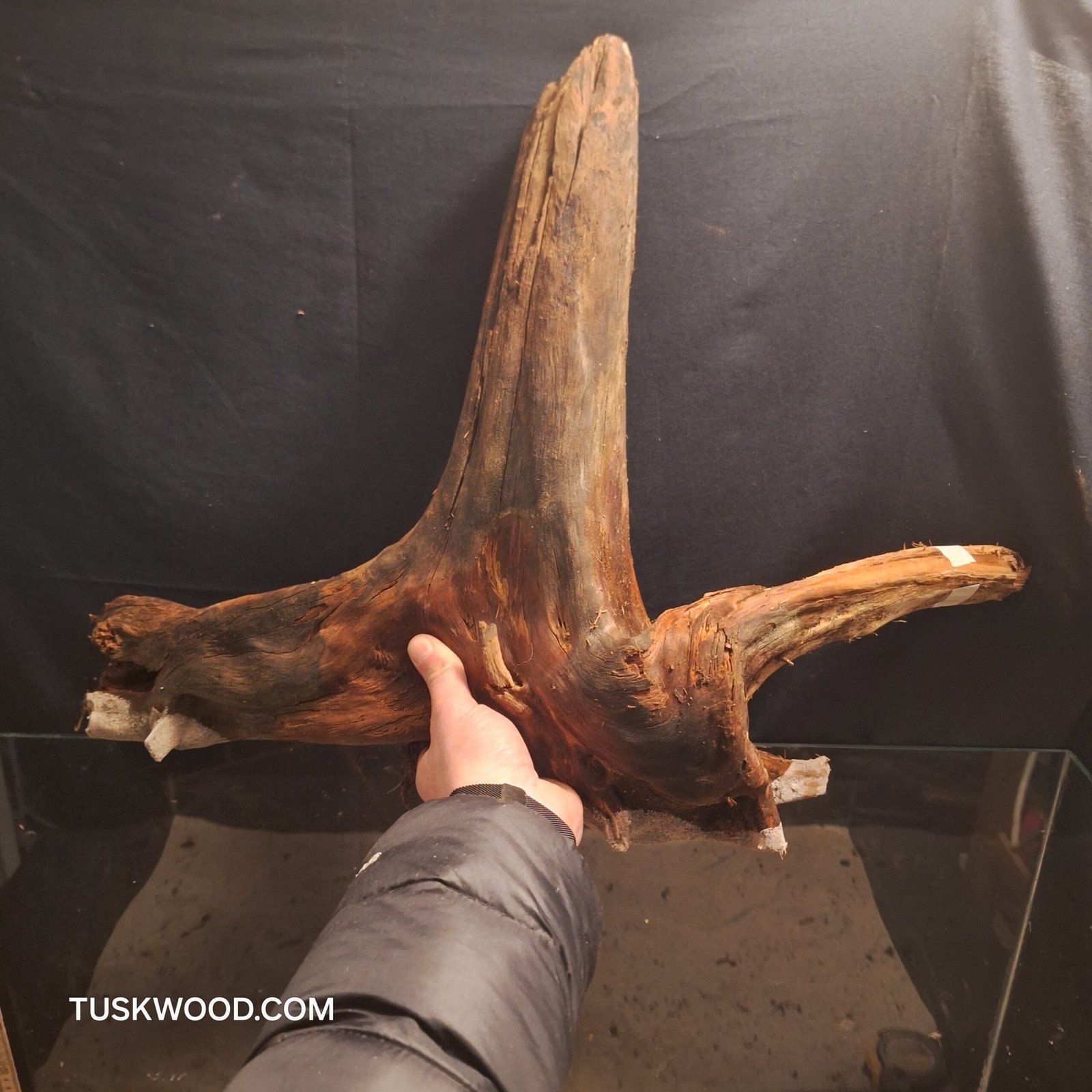 Tuskwood Akvarierot WYSIWYG Äkta Bogwood Unik 60 cm NrT16 - Image 9
