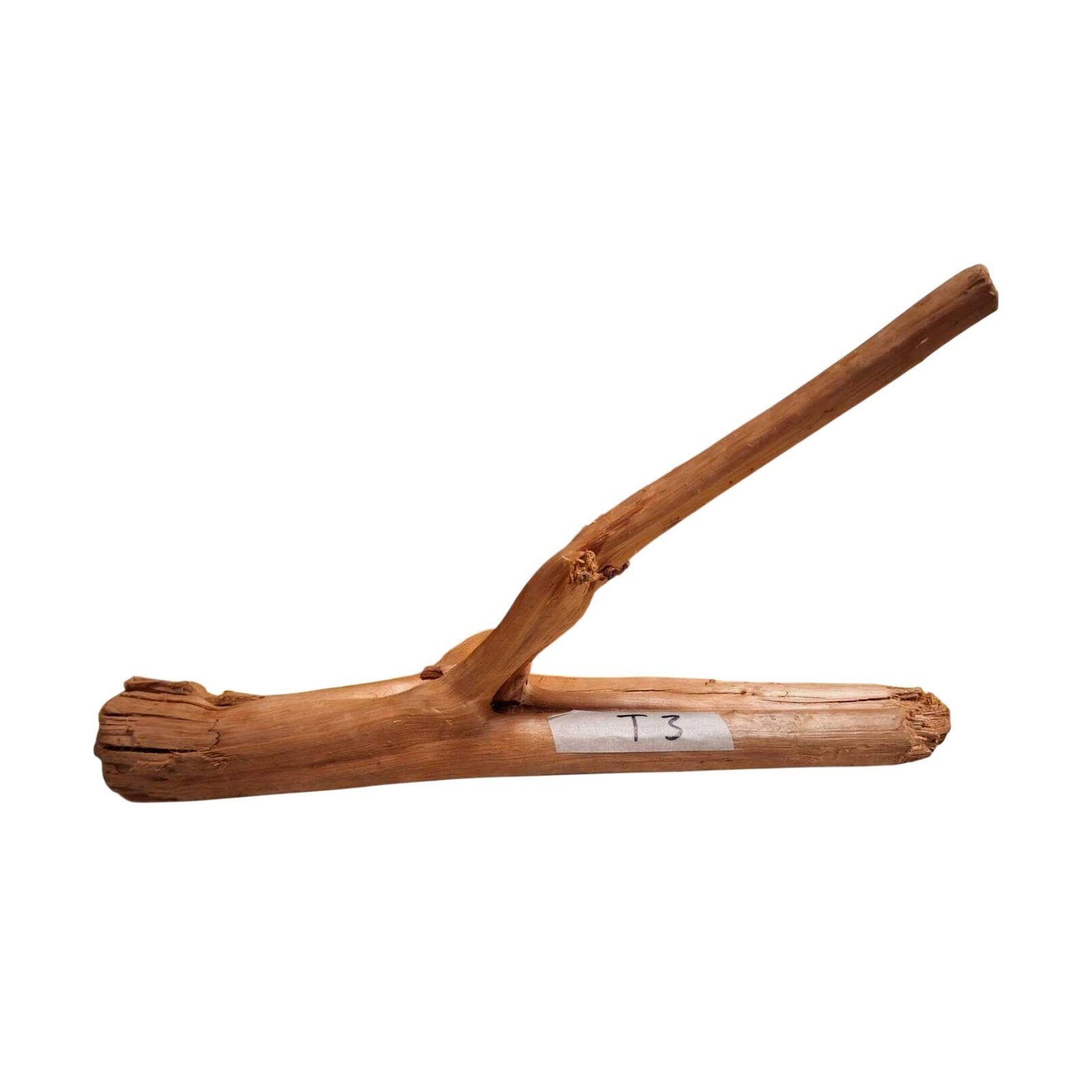 Tuskwood Akvarierot WYSIWYG Äkta Bogwood Unik 43 cm NrT3 - Billede 7