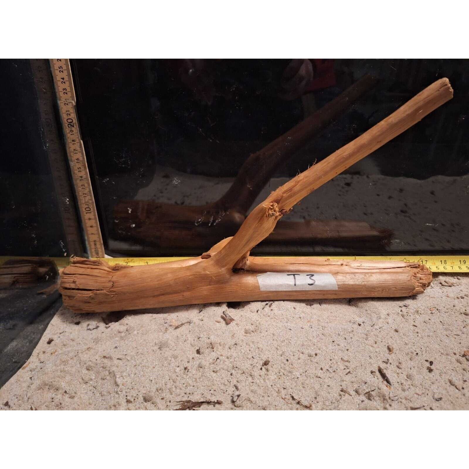 Tuskwood Akvarierot WYSIWYG Äkta Bogwood Unik 43 cm NrT3 - Billede 4