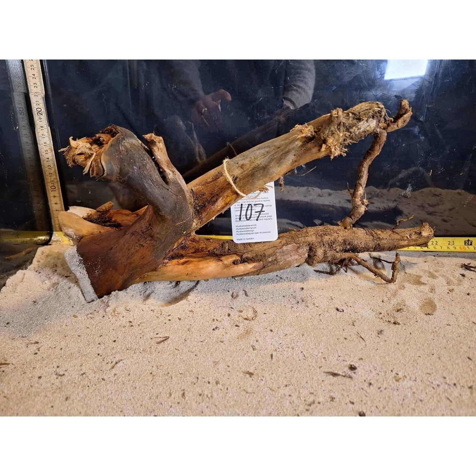 Tuskwood Akvarierot WYSIWYG Äkta Bogwood Unik 40 cm nr107 - Bild 4