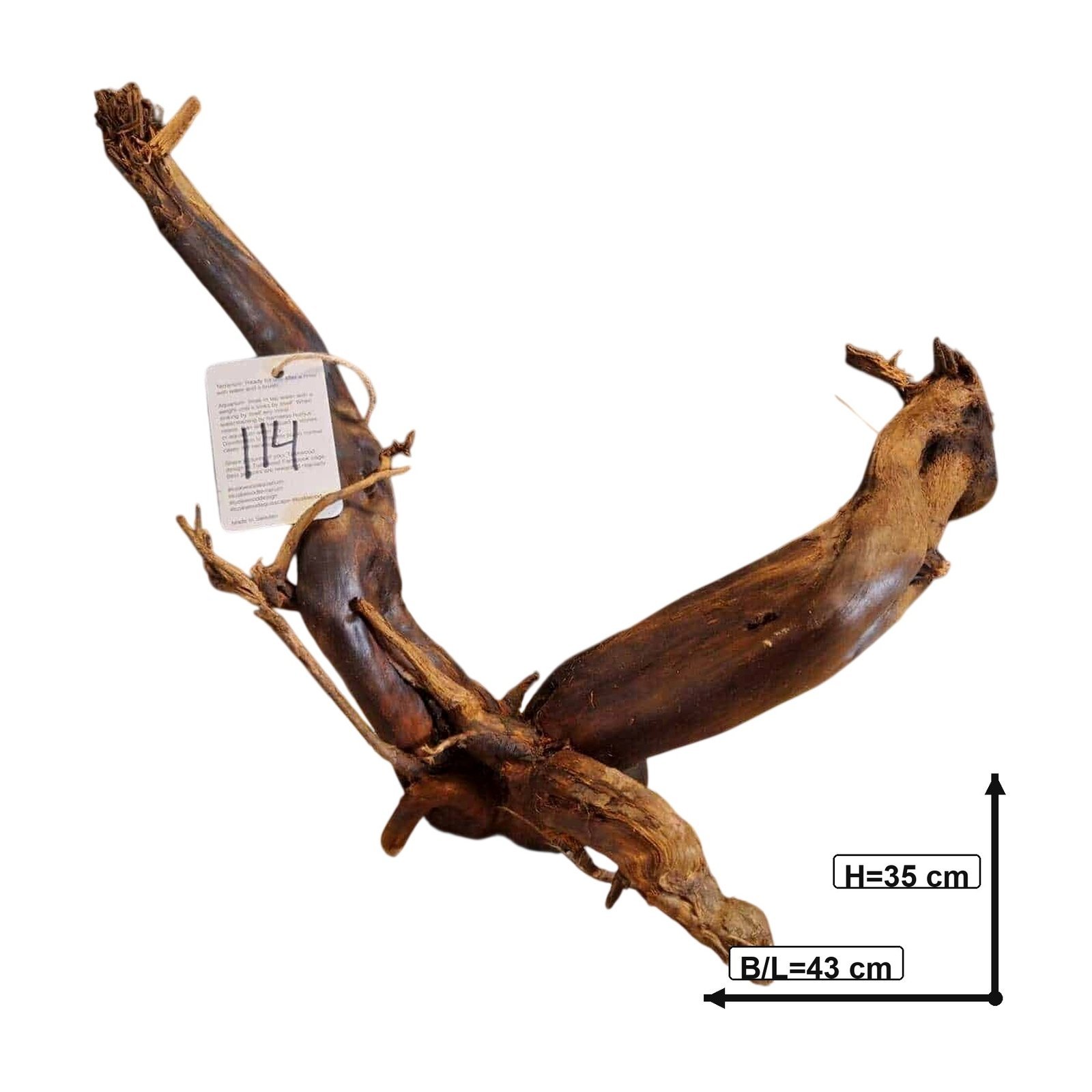 Tuskwood Akvarierot WYSIWYG Äkta Bogwood Unik 43 cm nr114 - obrazek 3
