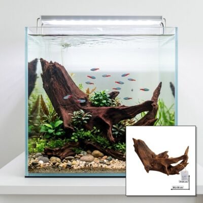 Tuskwood Racine d'aquarium WYSIWYG, véritable bois de bog, unique, 38 cm, n° 115A