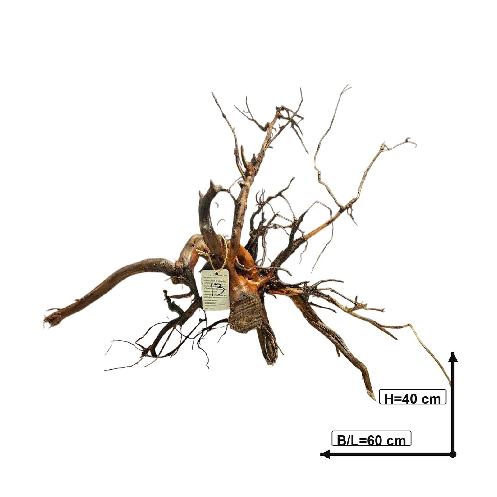 Tuskwood Akvarierot WYSIWYG Äkta Bogwood Unik 60 cm nr13AA - Image 3