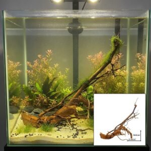 Tuskwood Akvarierot WYSIWYG Aito Bogwood Unik 35 cm 22/23