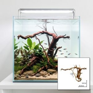 Tuskwood Akvarierot WYSIWYG Aito Bogwood Ainutlaatuinen 30 cm nro 79