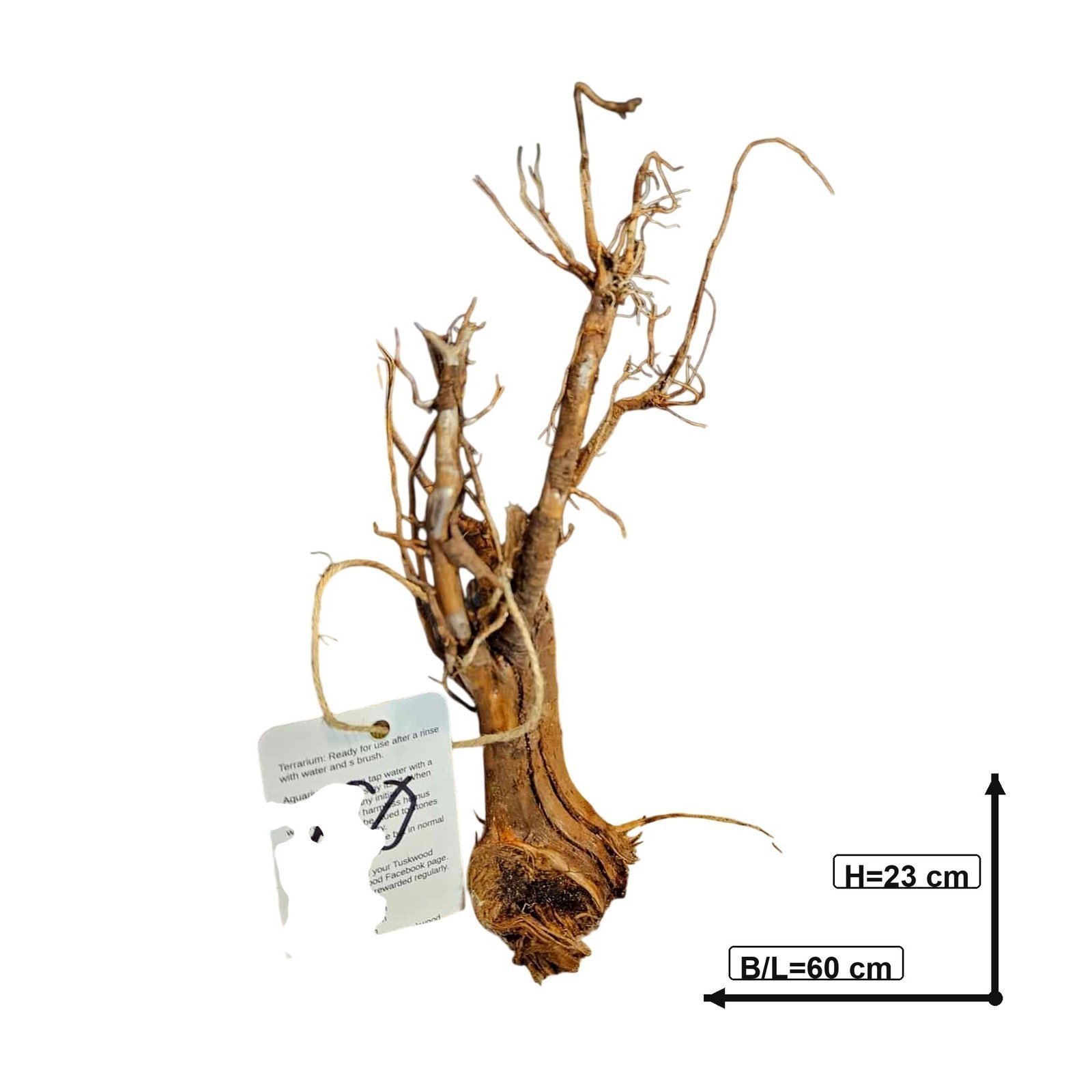Tuskwood Aquarium-Wurzel WYSIWYG Echtes Bogwood Einzigartig 60 cm Nr. 60