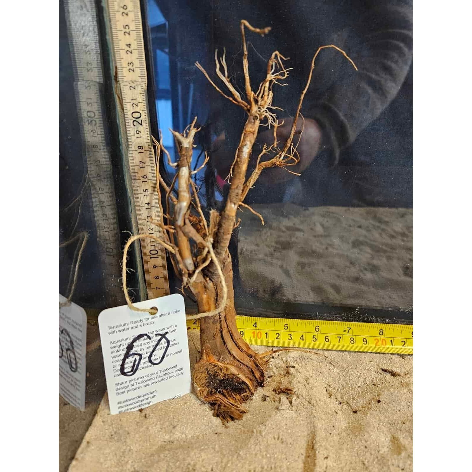 Tuskwood Aquarium-Wurzel WYSIWYG Echtes Bogwood Einzigartig 60 cm Nr. 60