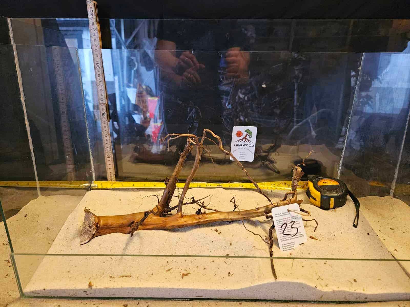 Tuskwood akvarierot i äkta bogwood, 30-40 cm