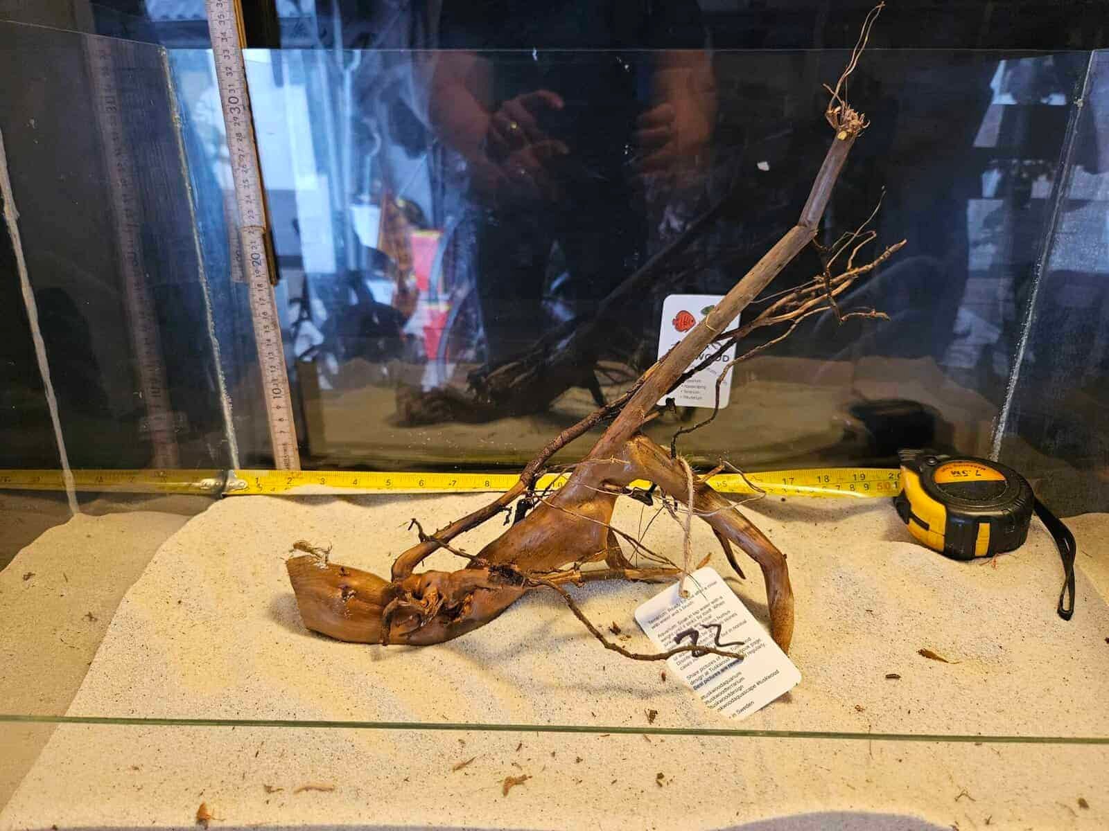 Tuskwood akvarierot i äkta bogwood, 30-40 cm
