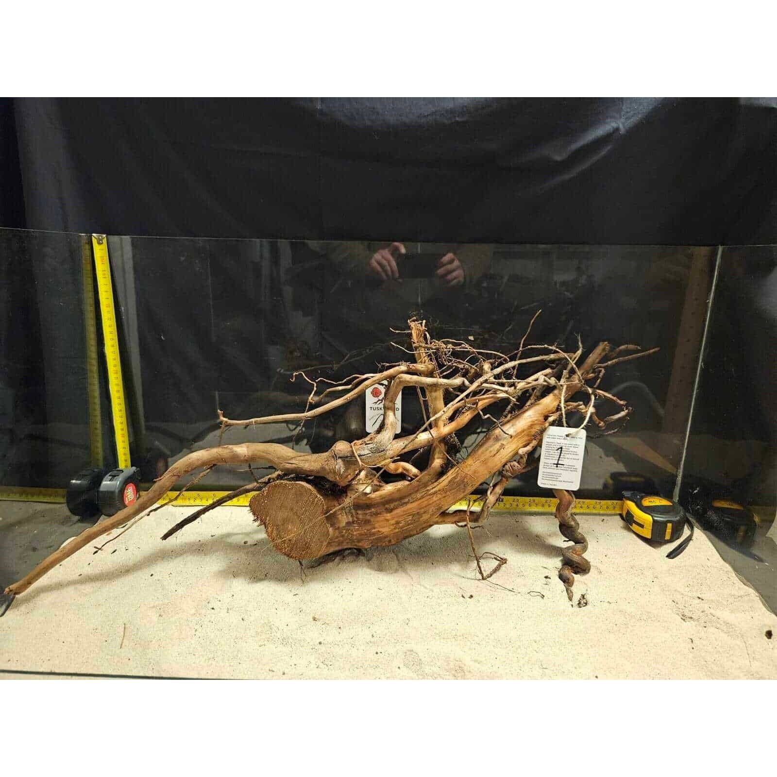 Tuskwood Akvarierot WYSIWYG Äkta Bogwood Unik 57 cm nr1AA