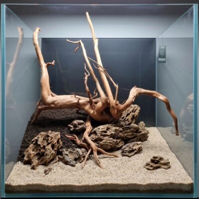 P232623 AI-generated aquarium hardscape