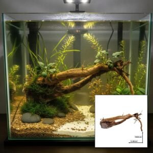 Tuskwood Akvarierot WYSIWYG Aito Bogwood Ainutlaatuinen 40 cm 105