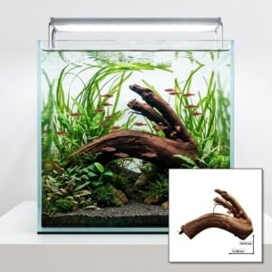 Tuskwood Aquariumwortel WYSIWYG Echt spinthout Uniek 26 cm P062623
