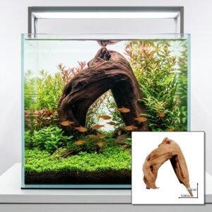 Tuskwood Aquariumwortel WYSIWYG Echt veenhout Uniek 41 cm P252623