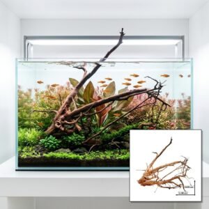 Tuskwood Akvarierot WYSIWYG Äkta Bogwood Unik 60 cm P262623