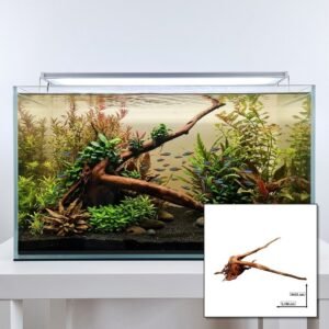 Tuskwood Aquariumwortel WYSIWYG Echt veenhout Uniek 65 cm P282623