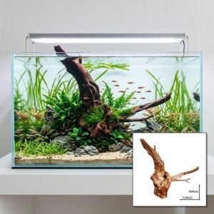 Tuskwood Aquariumwortel WYSIWYG Echt veenhout Uniek 54 cm P302623