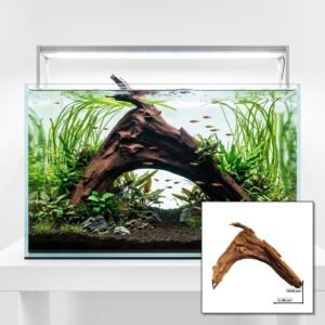 Tuskwood Aquariumwortel WYSIWYG Echt veenhout Uniek 55 cm P342623