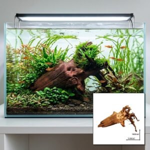 Tuskwood Akvaario Juuri WYSIWYG Aito Bogwood Unique 54 cm P362623