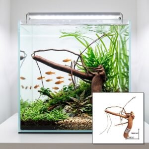 Tuskwood Aquariumwortel WYSIWYG Echt bogwood Uniek 28 cm NrT11