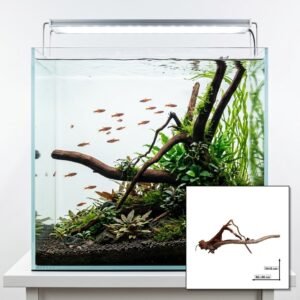 Tuskwood Aquariumrot WYSIWYG Echt bogwood Uniek 60 cm NrT13