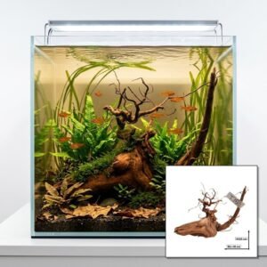 Tuskwood Aquariumwortel WYSIWYG Echt bogwood Uniek 36 cm NrT15
