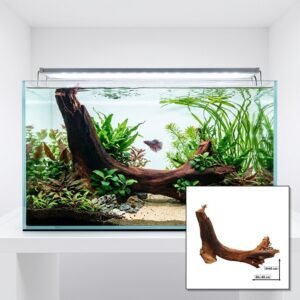Tuskwood Aquariumrot WYSIWYG Echt Bogwood Uniek 65 cm NrT19