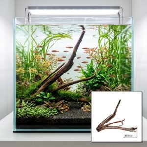 Tuskwood Aquariumwortel WYSIWYG Echt bogwood Uniek 40 cm NrT22