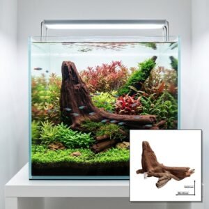 Tuskwood Aquariumrot WYSIWYG Echt bogwood Uniek 45 cm NrT24