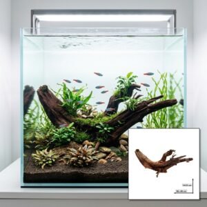Tuskwood Akvarierot WYSIWYG Aito Bogwood Unik 60 cm NrT26