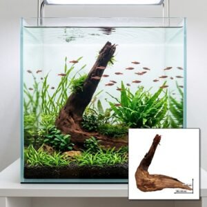 Tuskwood Aquariumrot WYSIWYG Echt bogwood Uniek 45 cm NrT27