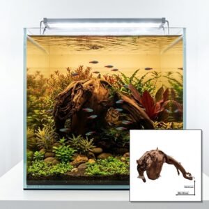 Tuskwood Aquariumwortel WYSIWYG Echt bogwood Uniek 30 cm NrT29