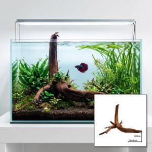 Tuskwood Aquariumrot WYSIWYG Echt bogwood Uniek 50 cm NrT35