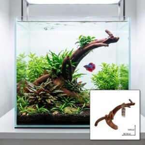 Tuskwood Aquariumwortel WYSIWYG Echt bogwood Uniek 30 cm NrT37