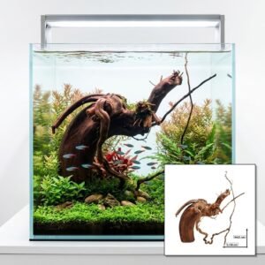 Tuskwood Akvarierot WYSIWYG Aito Bogwood Ainutlaatuinen 34 cm T43