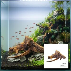 Tuskwood akvarierot i äkta bogwood, 69 cm, P242618