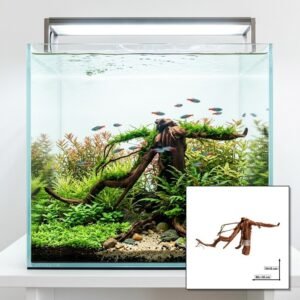Tuskwood Akvarierot WYSIWYG Äkta Bogwood Unik 35 cm NrT7