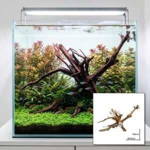 Tuskwood Akvarierot WYSIWYG Äkta Bogwood Unik 60 cm nr12