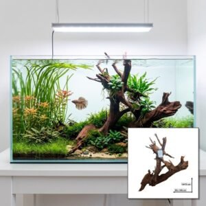 Tuskwood Akvarierot WYSIWYG Äkta Bogwood Unik 100 cm nr125