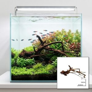 Tuskwood Akvarierot WYSIWYG Aito Bogwood Unik 80 cm nro 32A
